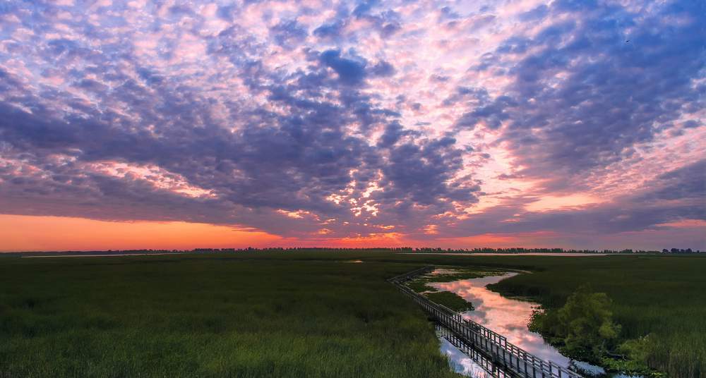 Point Pelee National Park