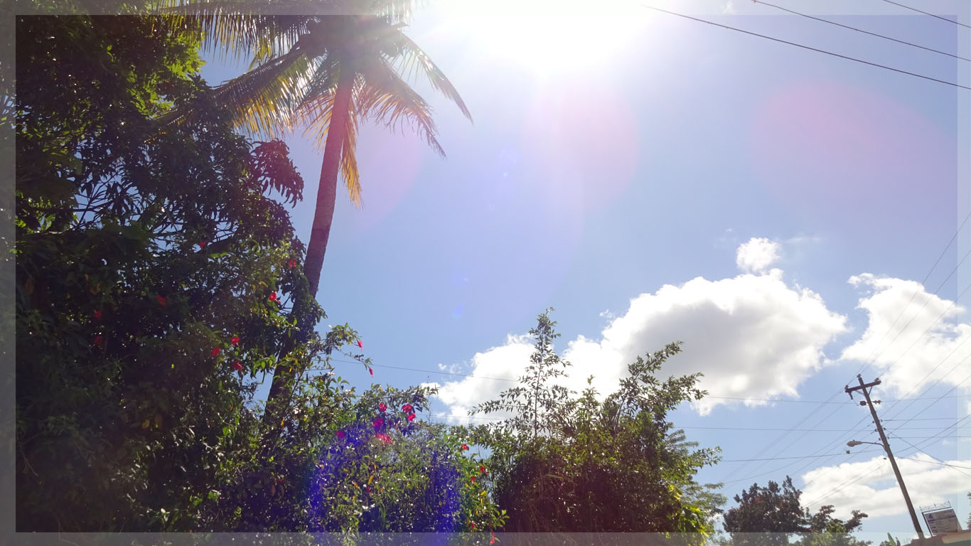 Picture I took in Jamaica