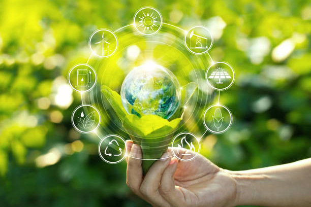 Ecosystem stability