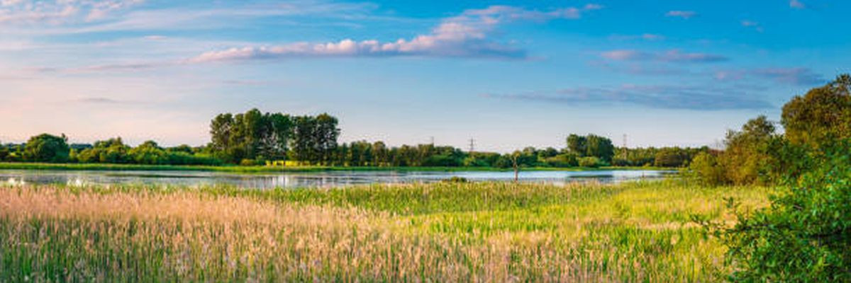Nature Reserve Panorama