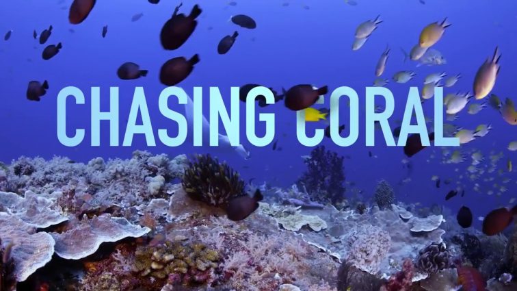 CORAL BLEACHING