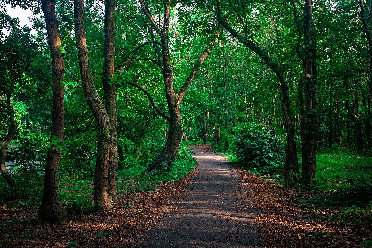 Bhawal National Park