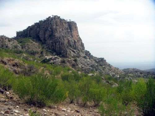 Chinji National Park