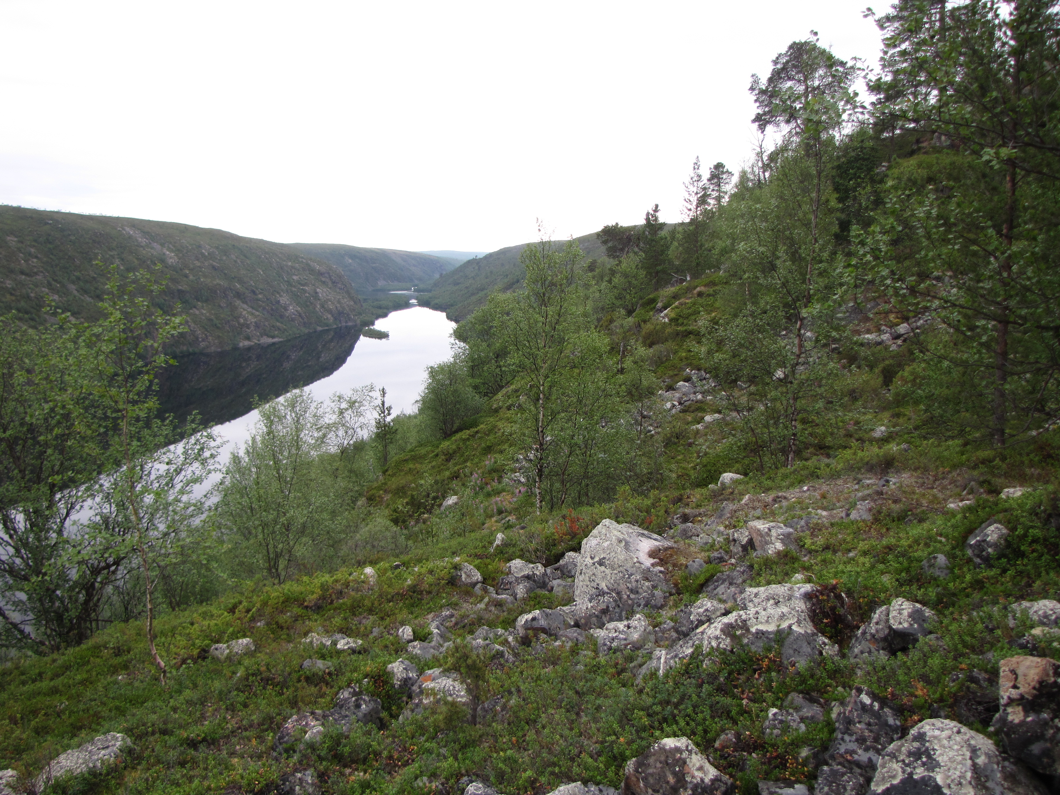 Kevo Strict Nature Reserve